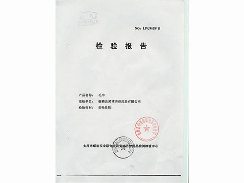 检测报告